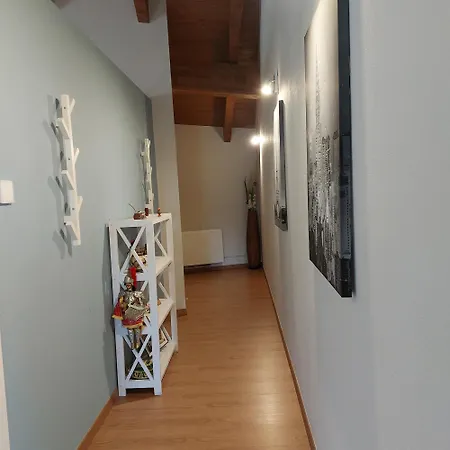 Istanti - Bambu Costigliole Saluzzo