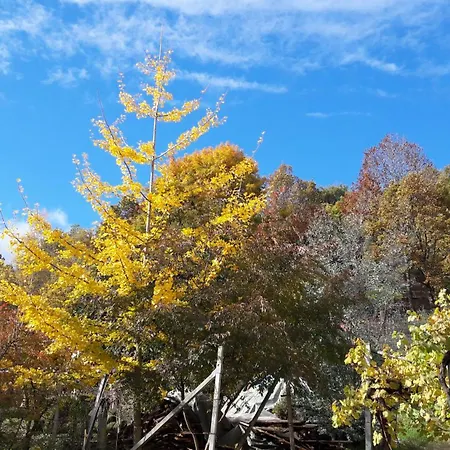 Istanti - Bambu * Costigliole Saluzzo