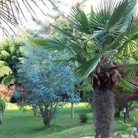 Istanti - Bambu * Costigliole Saluzzo