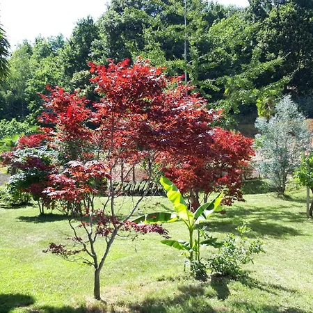 Istanti - Bambù Appartement Costigliole Saluzzo