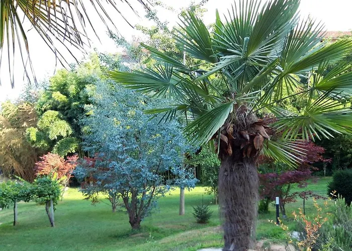 Istanti - Bambu * 코스티글리올살루초